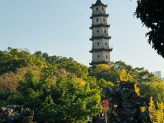 -江心屿景区