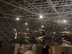 -世界恐龙谷景区