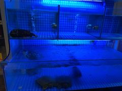 -辣螃铠盆盆蟹大排档(海昌店)