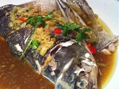 -打酱友•斑鱼海鲜粥火锅(吴桥店)