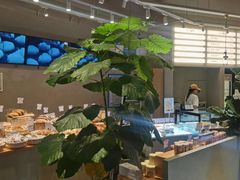 -迦南的早晨蛋糕甜品集合店