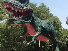 -热带风暴水上乐园(新镇路)