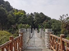 -铁山坪森林公园