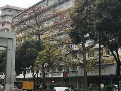 -晓港公园