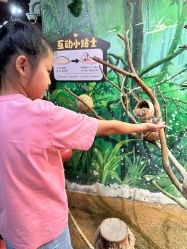 -Zoolung Zoolung动物主题公园(海信广场店)