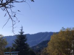 -王顺山国家森林公园