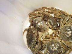 -加餐海鲜自助(集美银泰百货店)