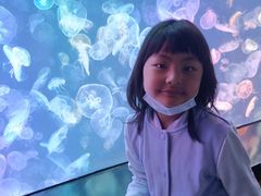 -烟台海昌鲸鲨海洋公园