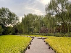 -北坞公园