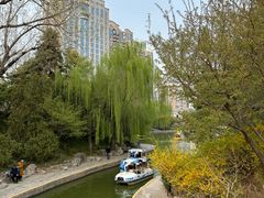 -团结湖公园
