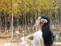 -艾溪湖湿地公园