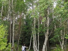 -木兰围场