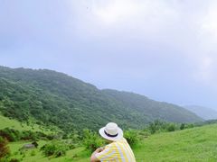 -大姆山草场