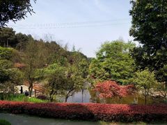 -铁山坪森林公园