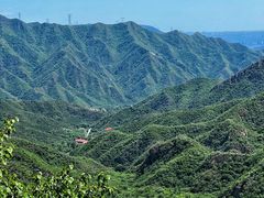 -大岭沟猕猴桃谷风景区