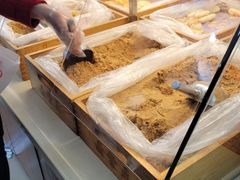 -鼎丰真(四马路店)