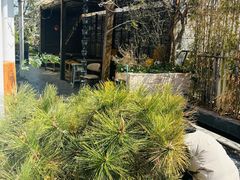 -汤宴·参须肚包鸡(南京路店)