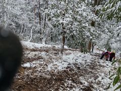 -安吉龙王山风景区