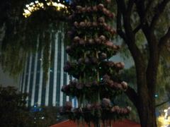 android_upload_pic-西北湖绿化广场