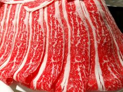 -龙福成肥牛火锅(文昌店)