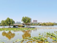 -济南大明湖景区