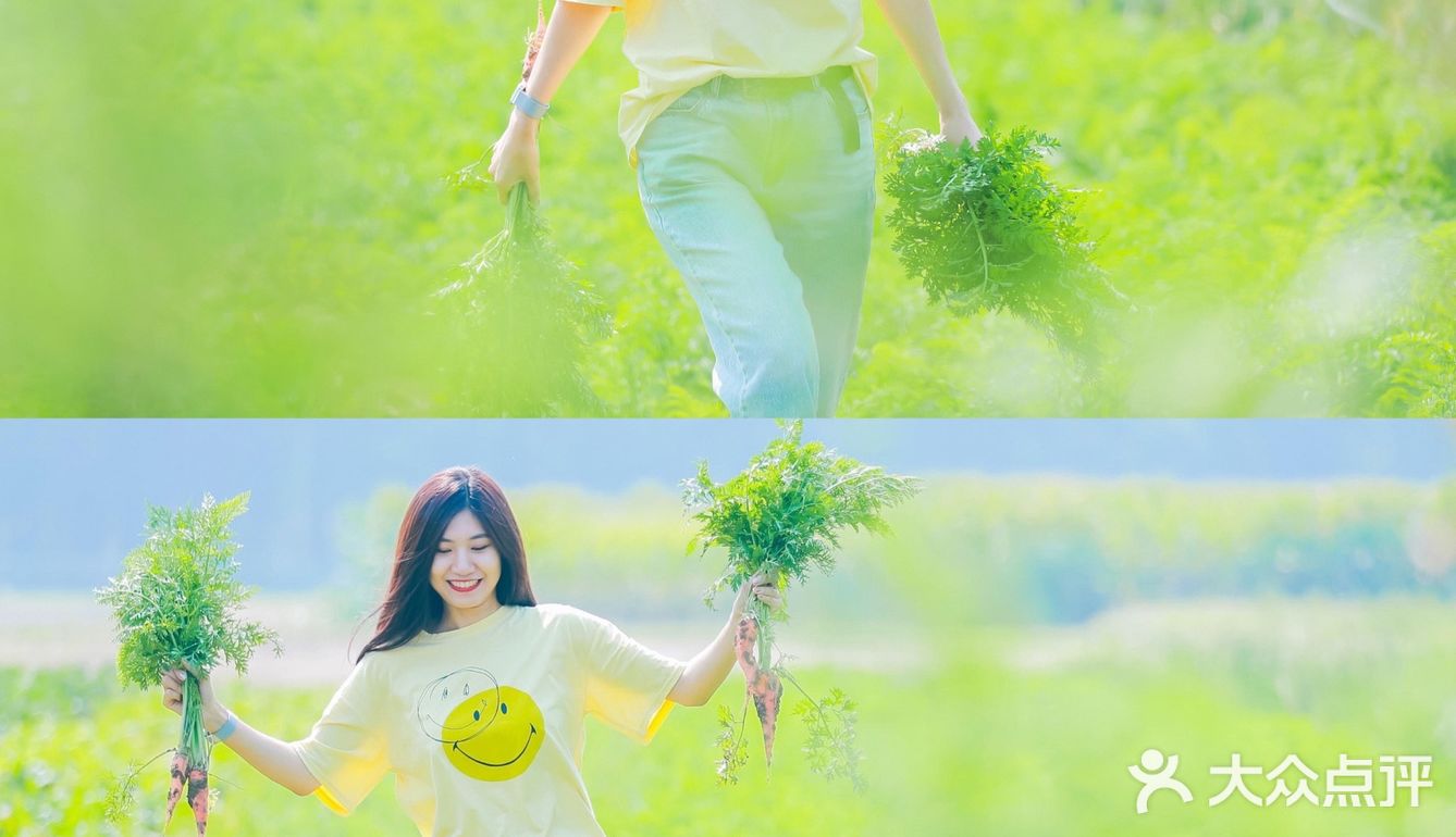 延庆里炮村｜北京秋日的周末乡村游