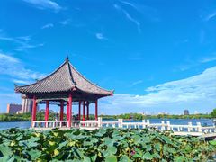 -济南大明湖景区