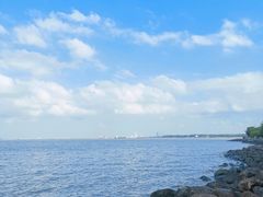 -上海吴淞炮台湾国家湿地公园