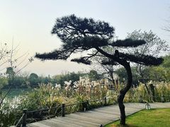 -新荣记(西溪湿地店)