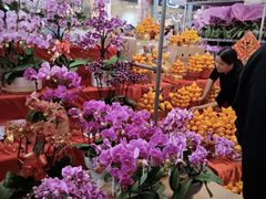 -越秀西湖花市(广州城市广场花卉店)