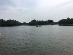 -东方绿舟景区