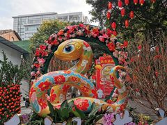 -越秀西湖花市(广州城市广场花卉店)