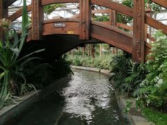 游乐设施-南宫五洲植物乐园