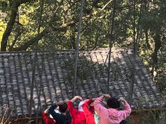 -杨家堂村