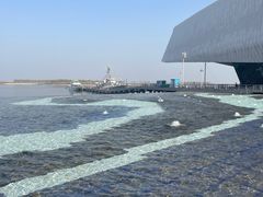 -贝林大翅鲸简餐厅(国家海洋博物馆店)