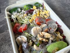 -Hi City·城市之巅