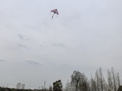 -嘉北郊野公园