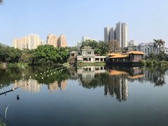 -荔湾湖公园