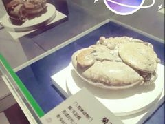 -贝壳王国博物馆