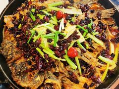 -老板恋上鱼(印象城店)