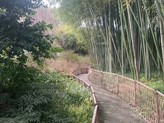 -汇龙潭