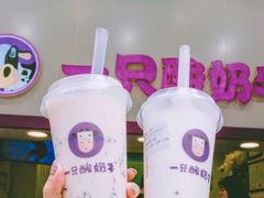 -一只酸奶牛(时代天街A馆店)