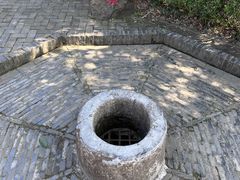 -上海佘山国家森林公园天马山园