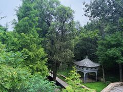 -白水寺森林公园