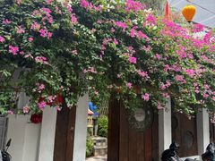 -Cục Gạch Quán