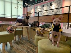 -喵匠猫主题咖啡(凯德和平广场店)