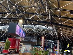 -谢列梅捷沃国际机场