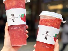 草莓多肉-树夏(金楠天街店)
