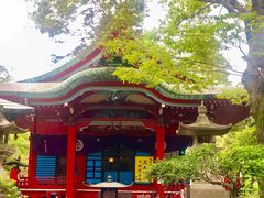 -井之头恩赐公园
