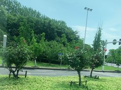 -常州奔牛国际机场